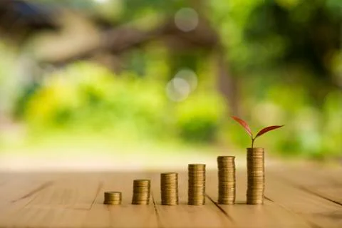 Growing plant on row of coin money , csr in business Stock Photos