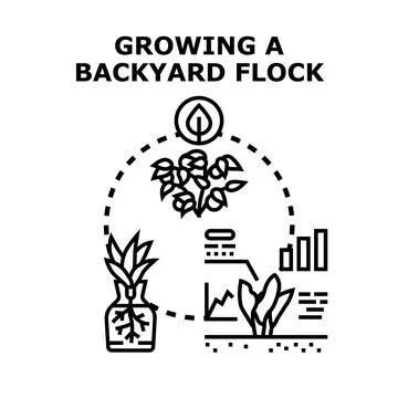 Growing plants in backyard garden vector concept Stock Illustration