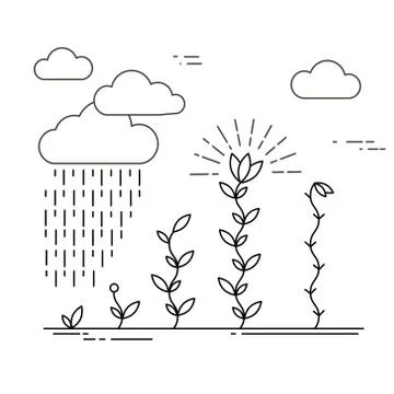 Growing plants card Stock Illustration