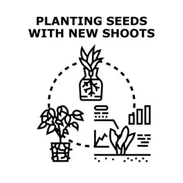 Growing plants developing roots and new shoots concept Stock Illustration