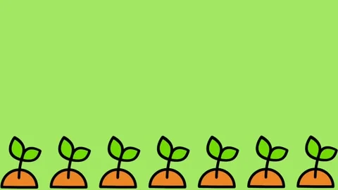 Growing Plants Stock Footage 335671726