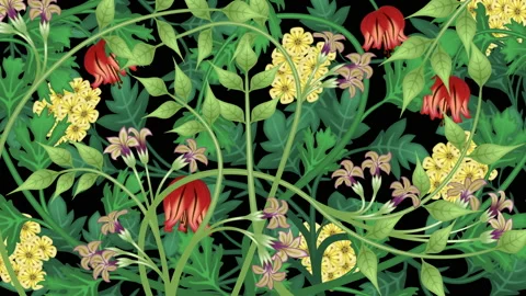 Growing plants, loop-able from 20:00 to end. Flowers, vines on black background 스톡 동영상 152241678