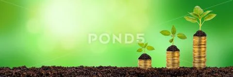 Growing plants on stacked coins shows financial success Stock Photos