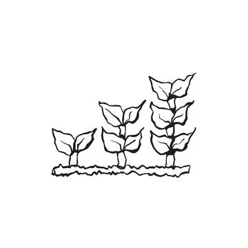 Growing plants step chart hand-drawn progress icon Stock Illustration