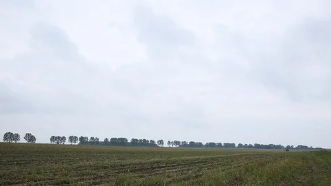 Growing potatoes and cleaning Stock Footage 85755714