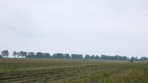 Growing potatoes and cleaning Stock Footage 85755757