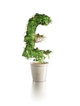Growing pound tree Stock Illustration