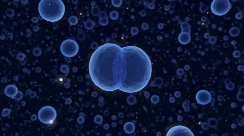 Growing Raindrops merge into larger droplet. Stock Footage 59661586