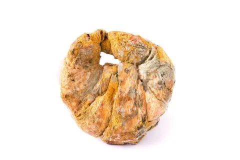 Growing rapidly on moldy bread Foto stock