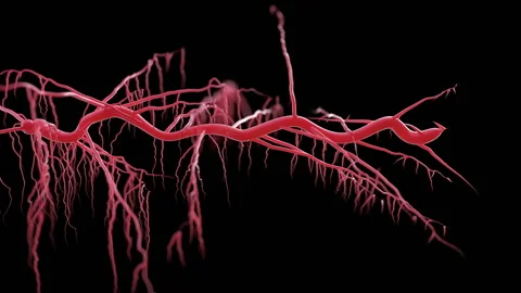Growing roots on black background Stock Footage 126236611