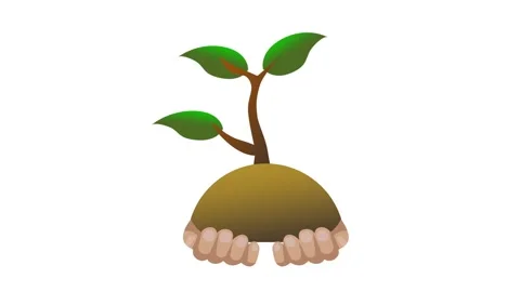 Growing Roots Stock Footage 335624380