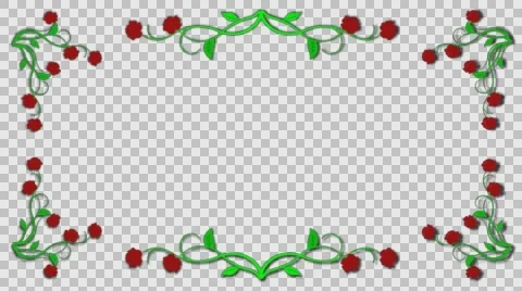 Growing Roses Frame. Alpha channel Video stock 59892783