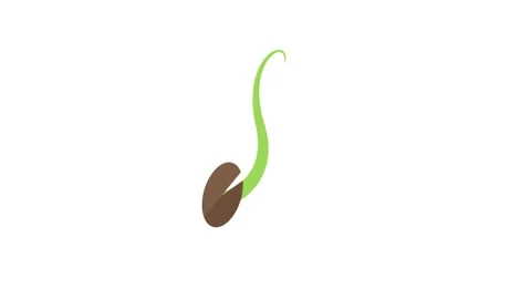 Growing seed, animated growing tree Video stock 257845190