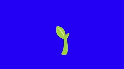 Growing Seedling Animation on Blue Screen Stock-Footage 337593419