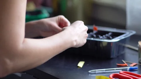 Growing seedlings in plastic containers. Flags with the name of the crop. Stock Footage 129576468