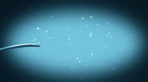 Growing Silver Tree In Gray Tone  Stock Footage 1036234