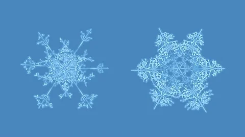 Growing snowflakes with alpha Video stock 10311714