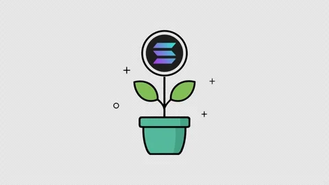 Growing Solana Crypto Plant Concept Animation Stock Footage 340495916