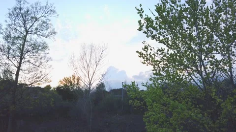 Growing Storm Clouds on Horizon Behind Trees at Sunset Vídeo Stock 332241335