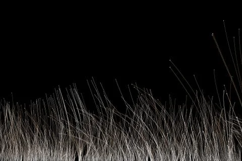 Growing technological lines, network data transmission Stockillustratie