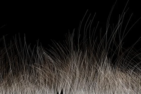 Growing technological lines, network data transmission Stockillustratie