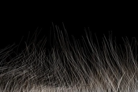 Growing technological lines, network data transmission 스톡 일러스트