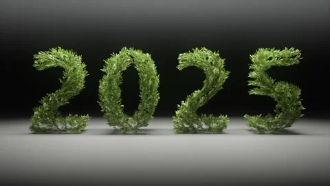 Growing tree in 2025 shape for upcoming new year 3D render Stock Footage 271300702