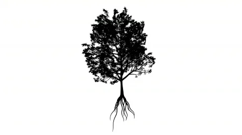 Growing Tree (Alpha Version) Video stock 479456