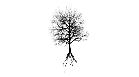 Growing Tree (Alpha Version) Video stock 479472