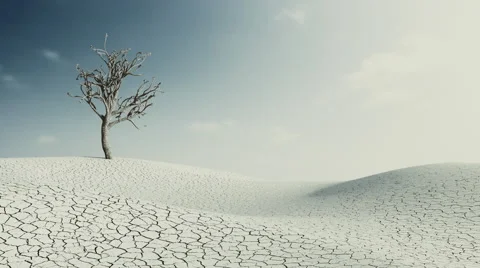 Growing Tree and Grass on Desert, 3d Animation 4k Vidéo 64053011