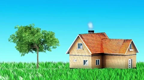 Growing tree animation Stock Footage 21878929