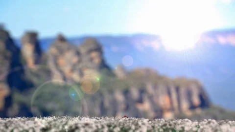 Growing tree animation Stock Footage 129714209