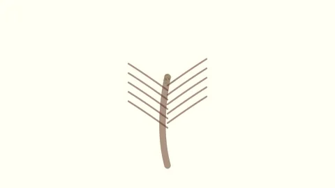 Growing Tree Animation Graphic Stock-Footage 347627796