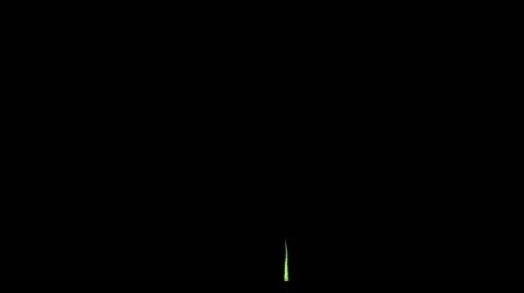Growing tree on black with alpha channel Video stock 22018185