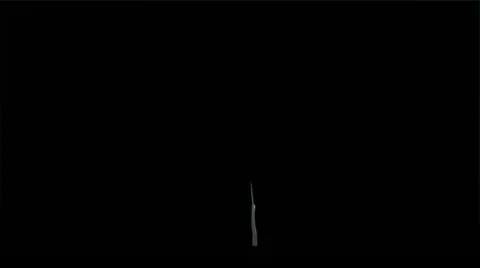Growing tree on black with alpha channel Video stock 22019181