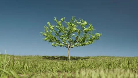 Growing tree as climate change concept 3d render Stock Footage 271298890