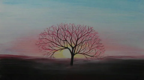 Growing Tree Stock Footage 700190