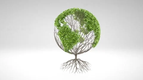 Growing tree, forming globe shape with leaves. Earth tree concept. Globe Worl Video stock 134950332