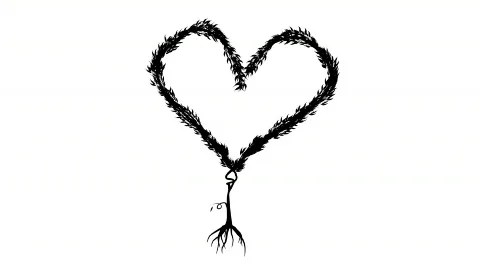 Growing Tree forming Heart (Alpha Version) Video stock 482941