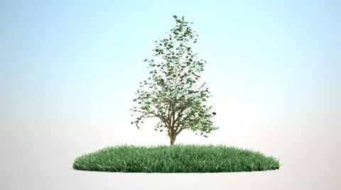 Growing tree on land with alpha channel 動画素材 22017712