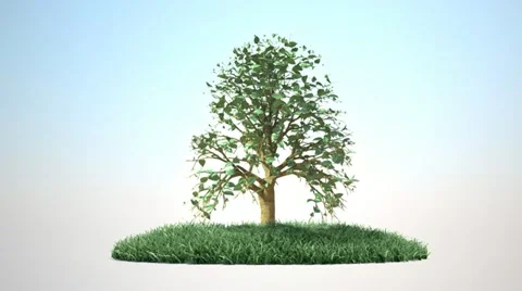 Growing tree on land with alpha channel Stock Footage 22018074