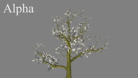 Growing tree with leaves in the form of banknotes Japan,  yen,  JPY Stock Footage 96005213