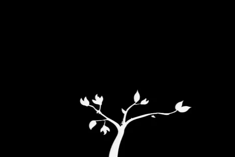 Growing Tree Matte 176 Video stock 496713