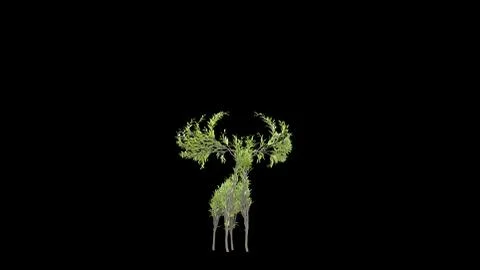 Growing Tree in a shape of a elk. Eco Concept. Stock Photos