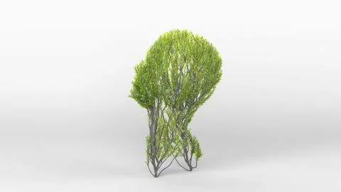 Growing Tree in a shape of Head. Eco Concept. Medical Concept. Stock Illustration
