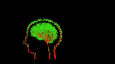 Growing Tree in a shape of human brain inside a head. Eco Concept. Stock Illustration