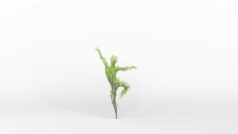 Growing Tree in a shape of a Human. Eco Concept. Stock Illustration