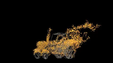 Growing Tree in a shape of Tractor. Eco Concept. Stock Illustration