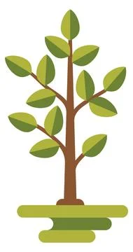 Growing tree. Stylized sapling. Natural environment symbol Stock Illustration