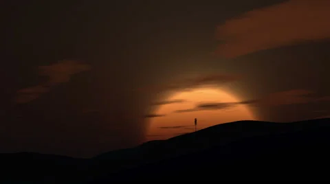 Growing tree at sunrise Stock Footage 60263882